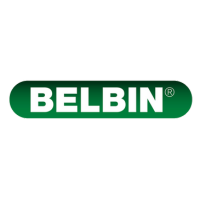Belbin
