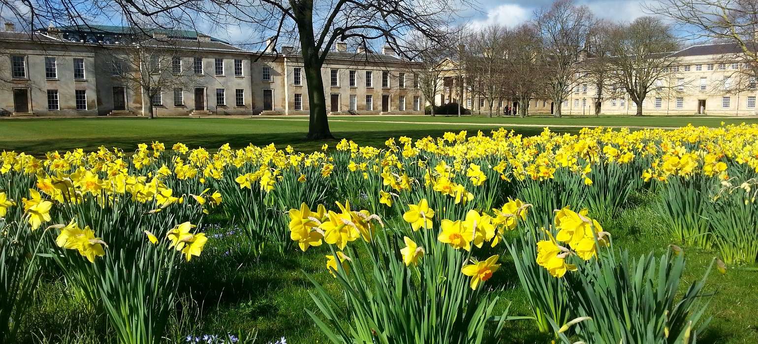 Mobas appointed digital agency for Downing College