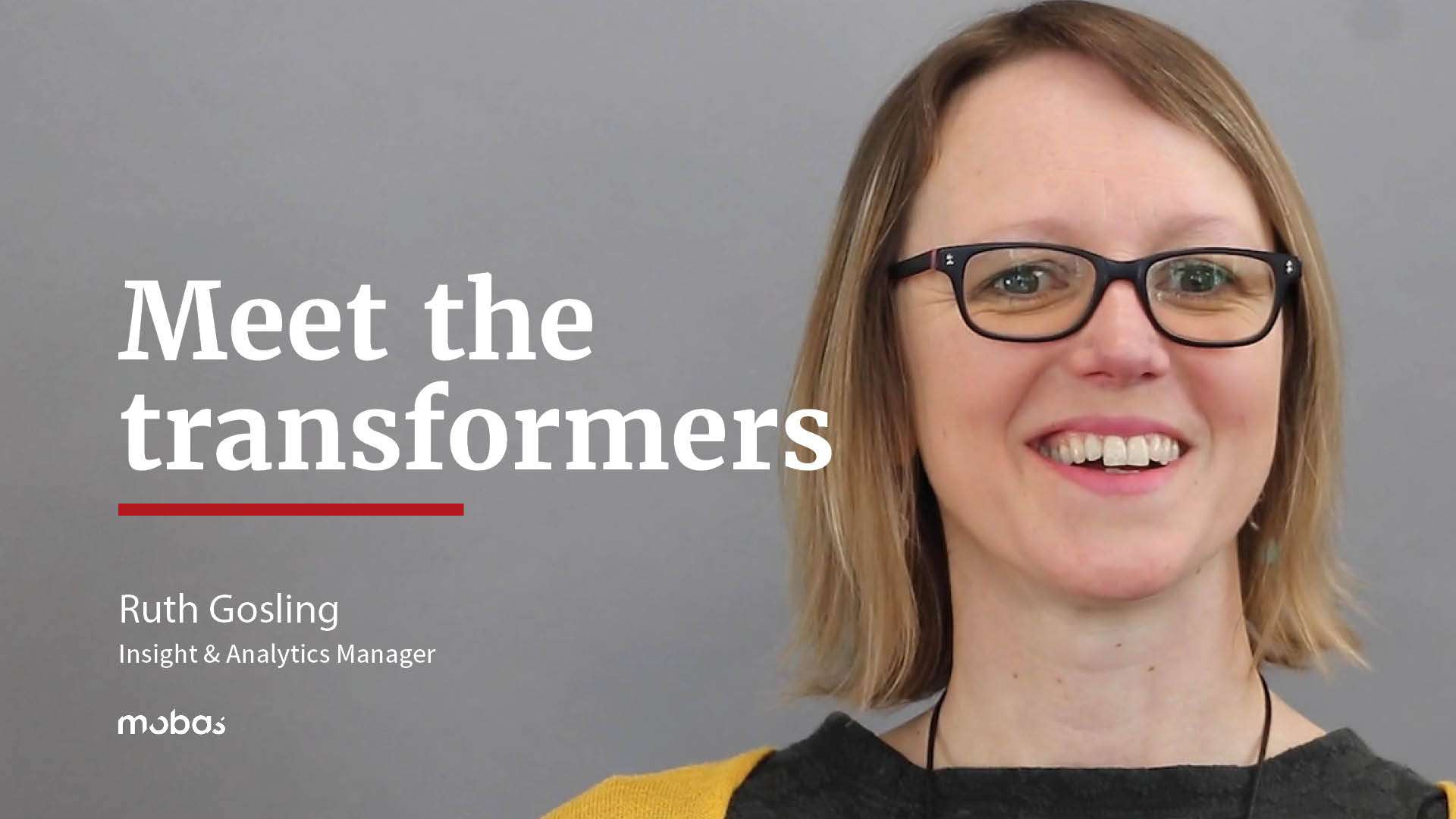 Meet the Transformers - Ruth Gosling