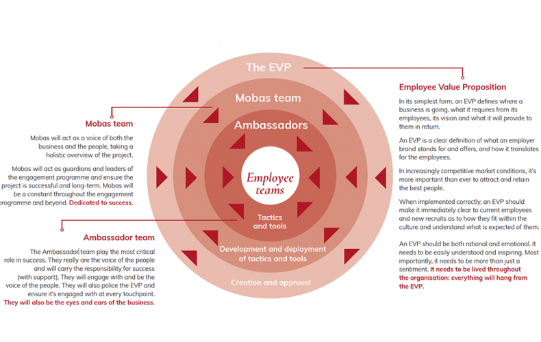 Integrating cultures for merger and acquisition