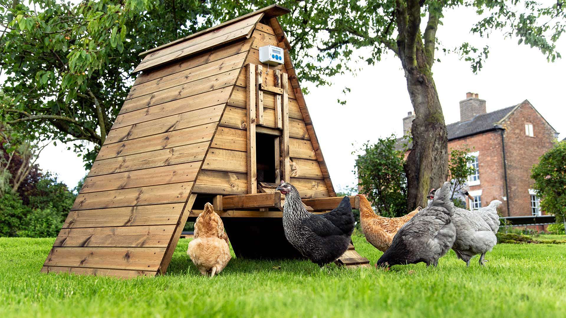 Chicken guard masterhead