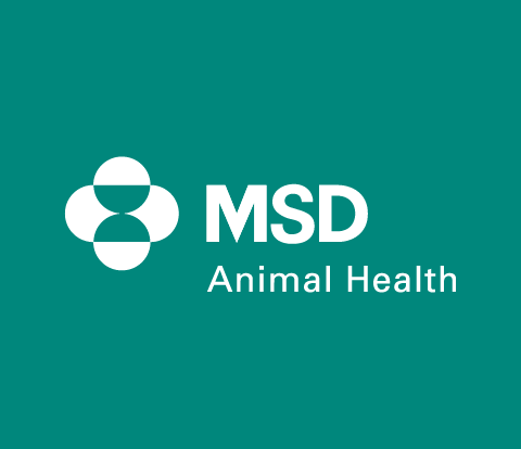 White MSD Animal Helath Logo on a teal background.