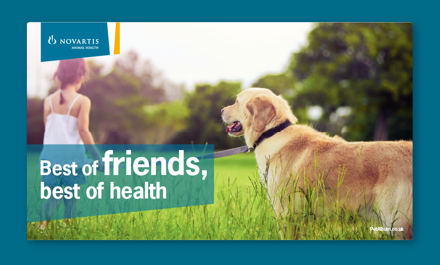 Novartis marketing material showing a dog and child in a field, titled 'Best of friends, best of health'.