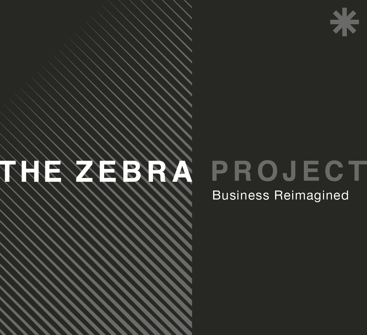 Graphic design with diagonal grey stripes on a dark background featuring the text “The Zebra Project – Business Reimagined.”