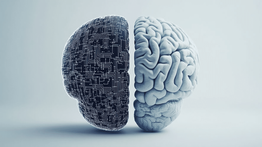 Two halves of a brain, one side human the other depicting AI.